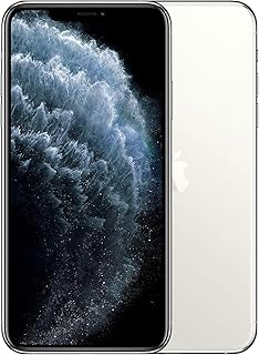 Apple iPhone 11 Pro 256GB Silver (Renewed)